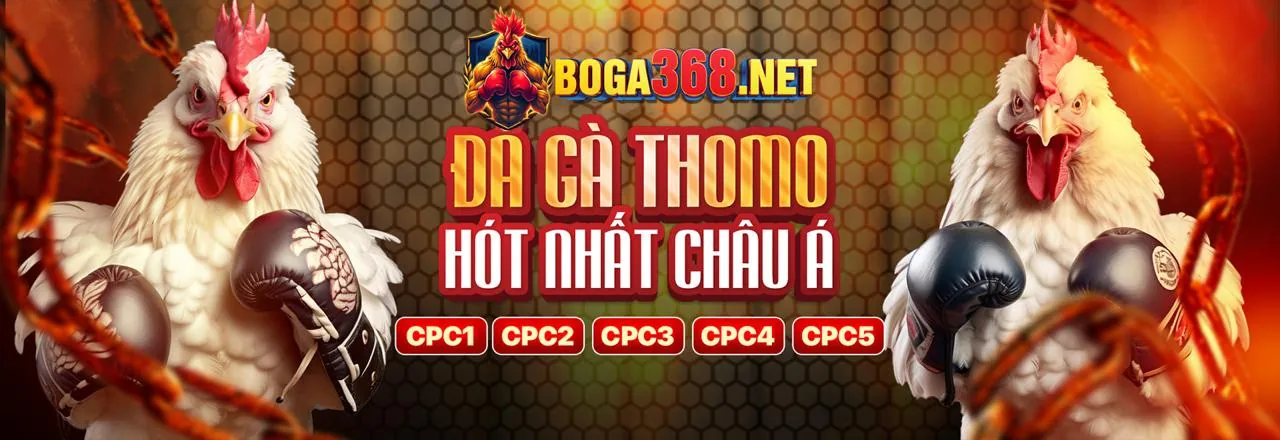 Hình ảnh tổng quan về cá cược thể thao và casino trực tuyến tại mebet