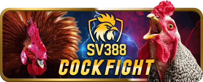 Cấp độ VIP Vàng mebet